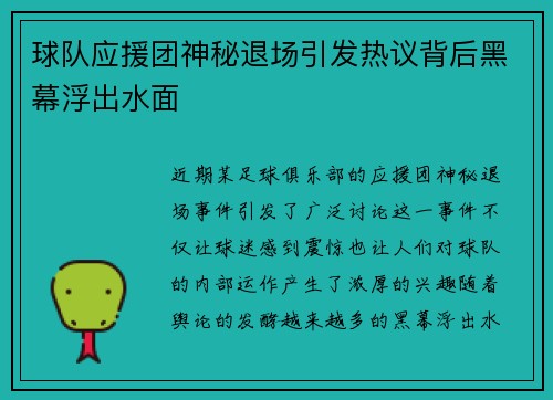 球队应援团神秘退场引发热议背后黑幕浮出水面